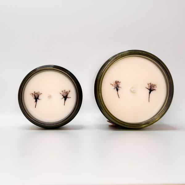 Astrology 3 pack: Air Signs