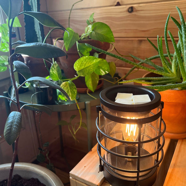 Edison Bulb Wax Melter