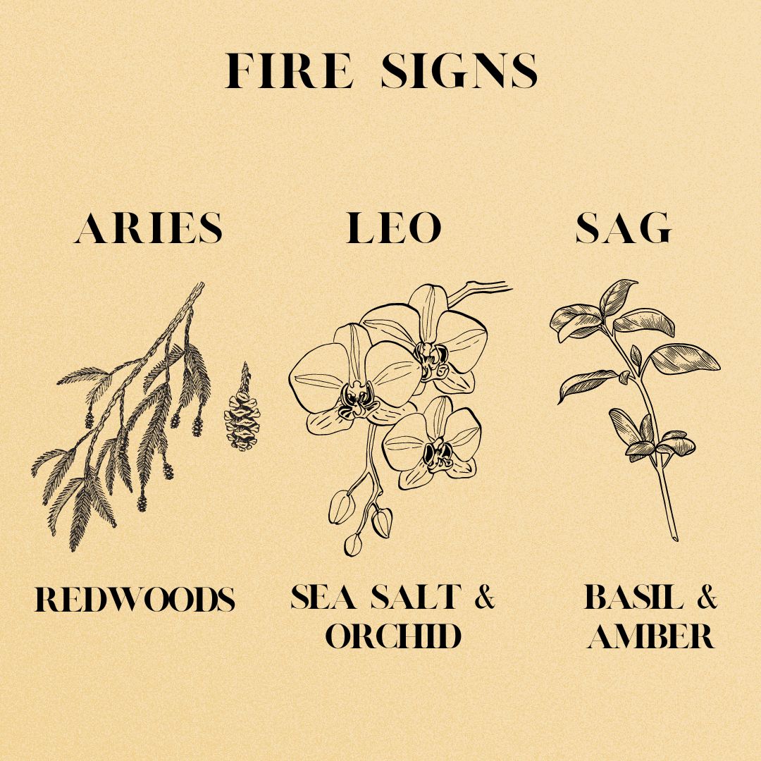 Fire Sign Names What are all the fire zodiac signs 60 photos - Youhoroscope.com