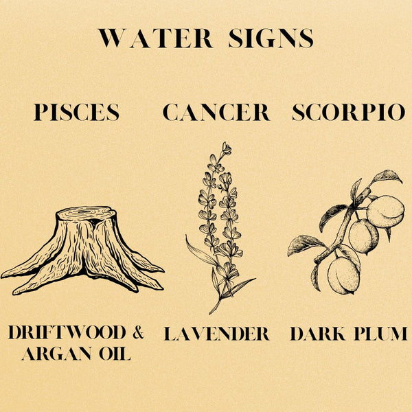 Astrology 3 pack: Water Signs