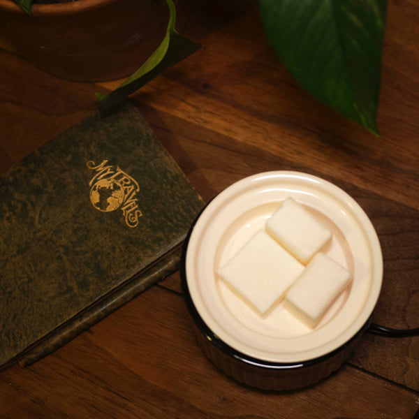 Black & White Ceramic Wax Melter