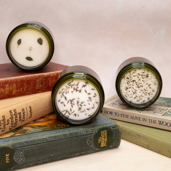 Herb Garden 3 pack