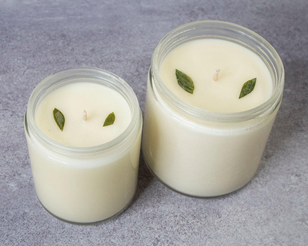 Fresh Basil Scented Soy Wax Candle - ScentSimple Candle Co.